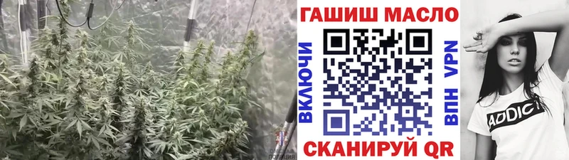 ТГК вейп  магазин продажи   mega ссылки  Нарьян-Мар 